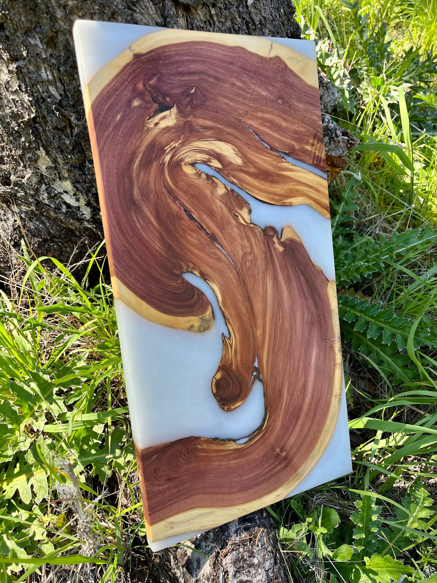 Juniper Swirl Board