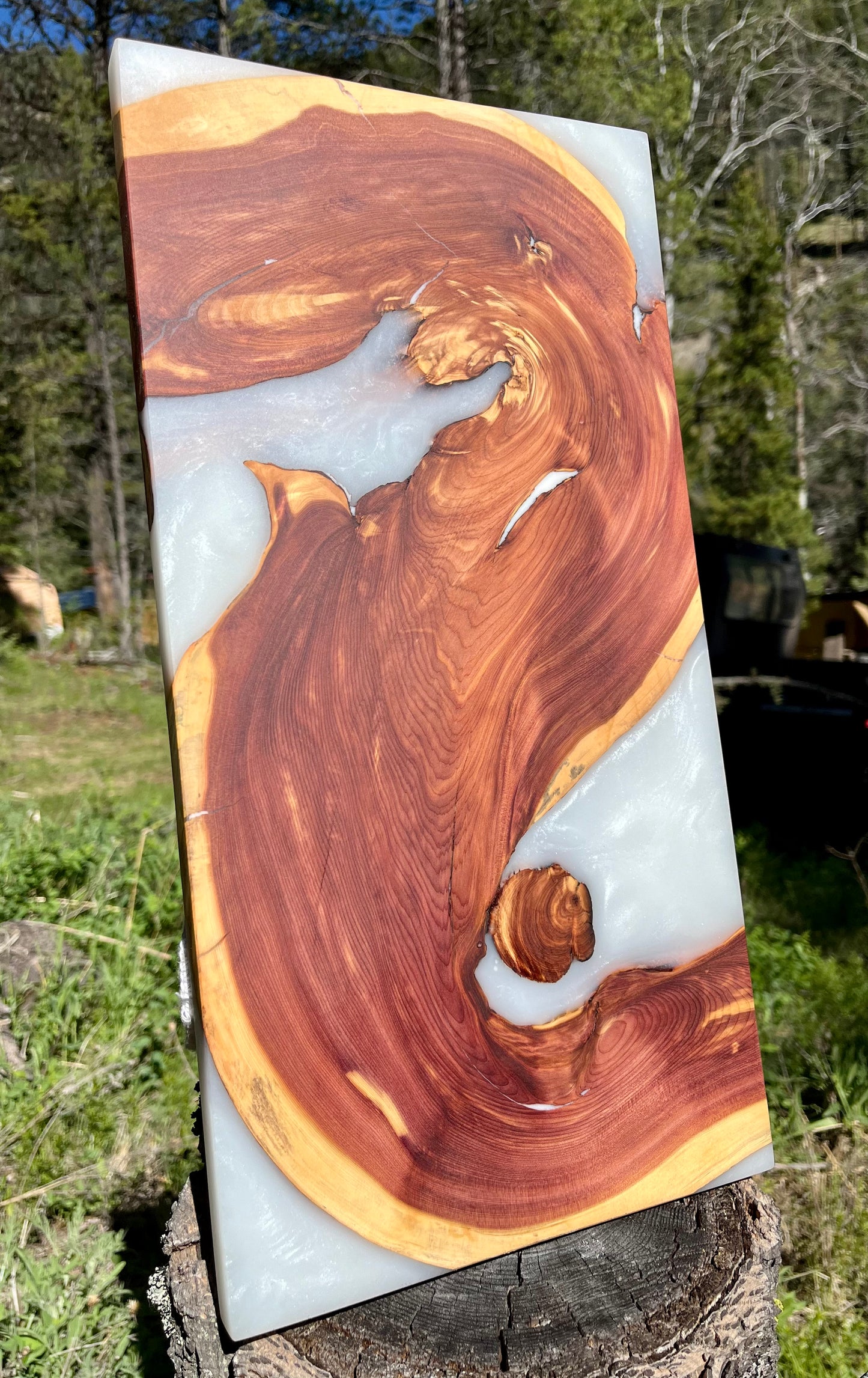 Juniper Swirl Board